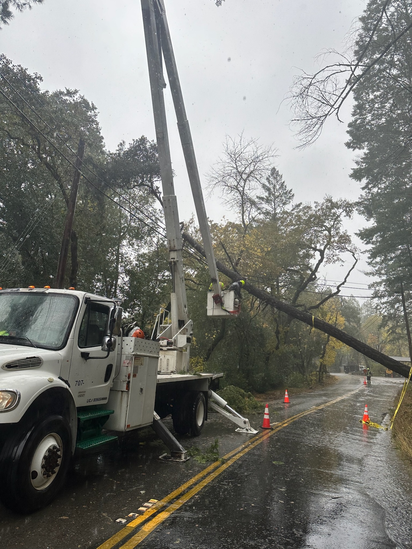 Our Work | Catalyst Tree Service | SLO County